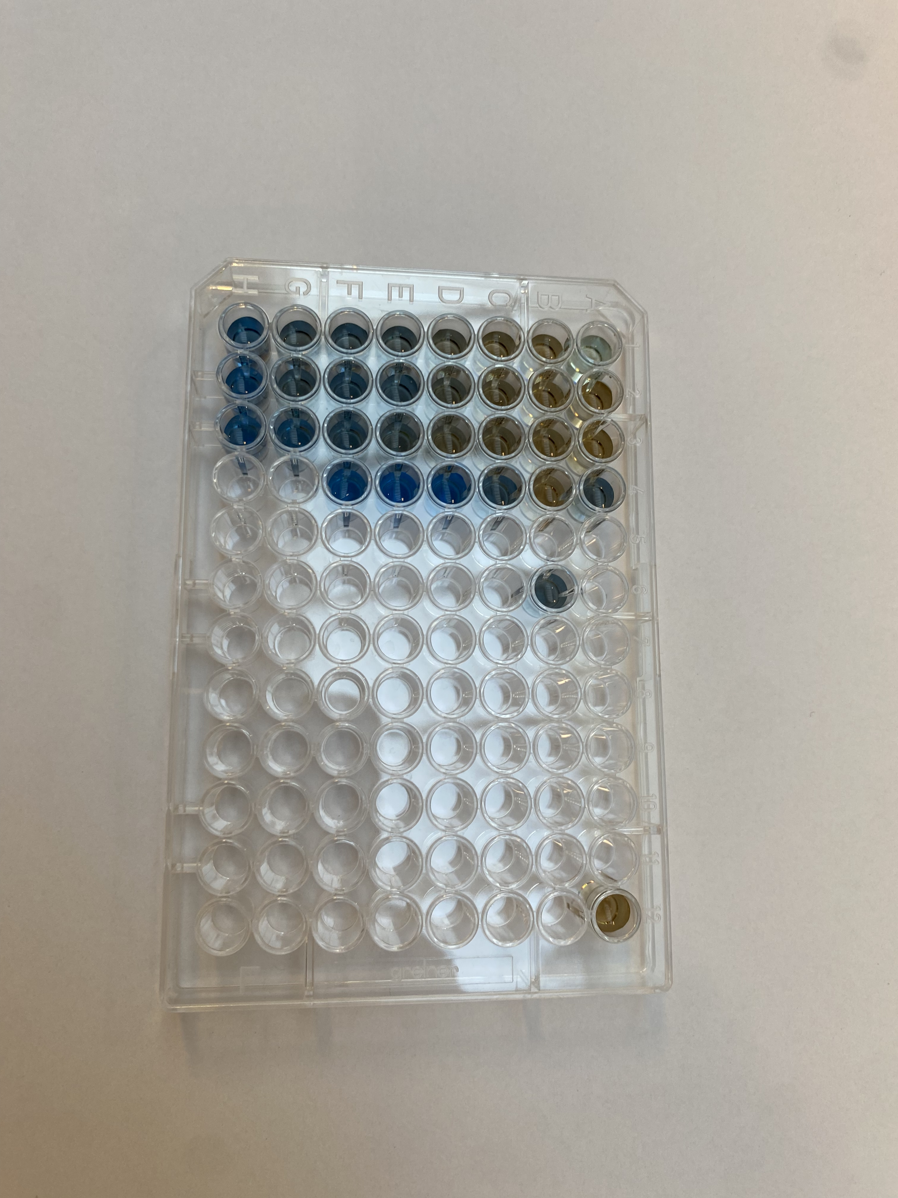 V - AI Chatbot | NsfwGPT.AI