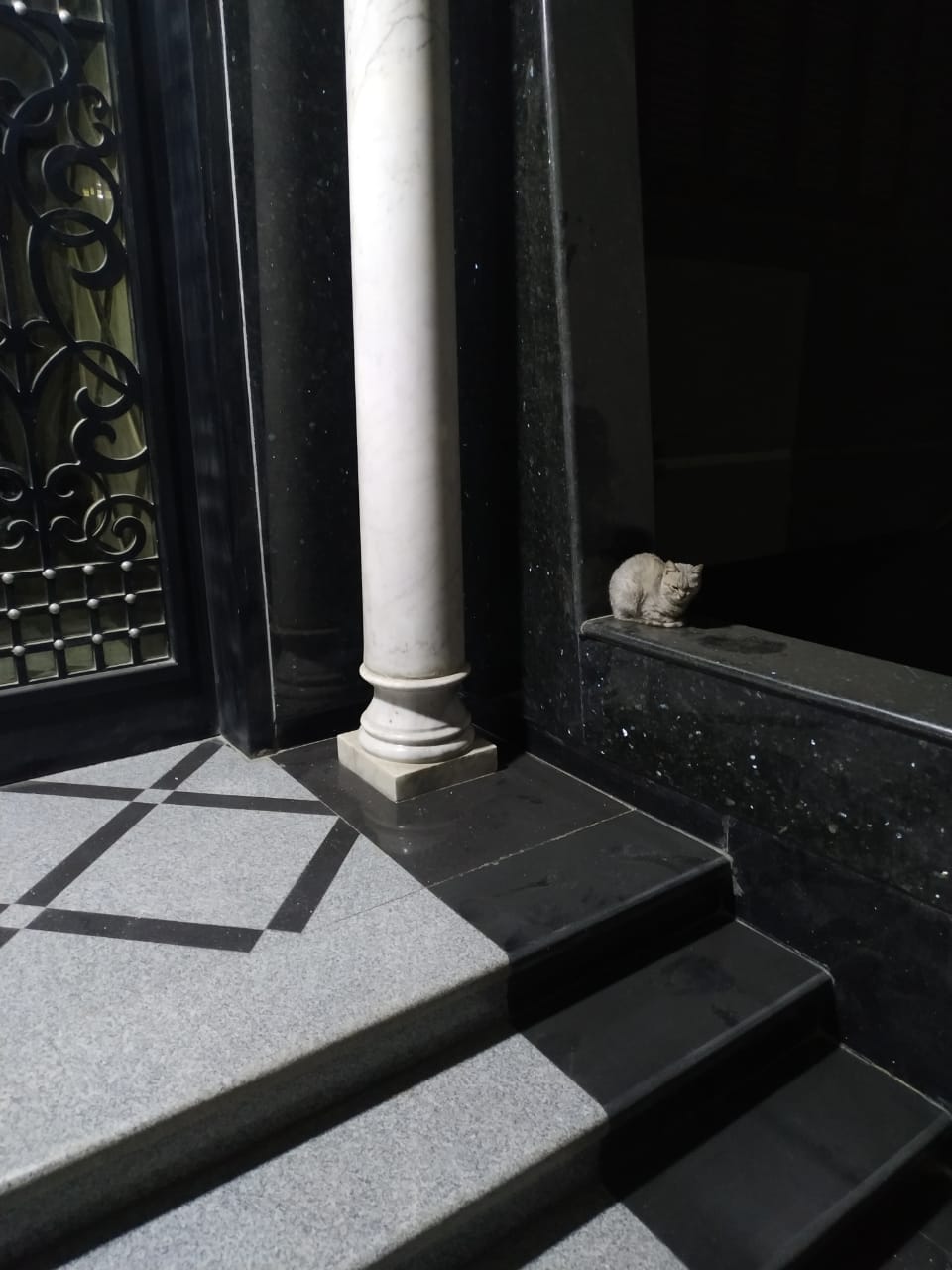 hams - AI Chatbot | NsfwGPT.AI