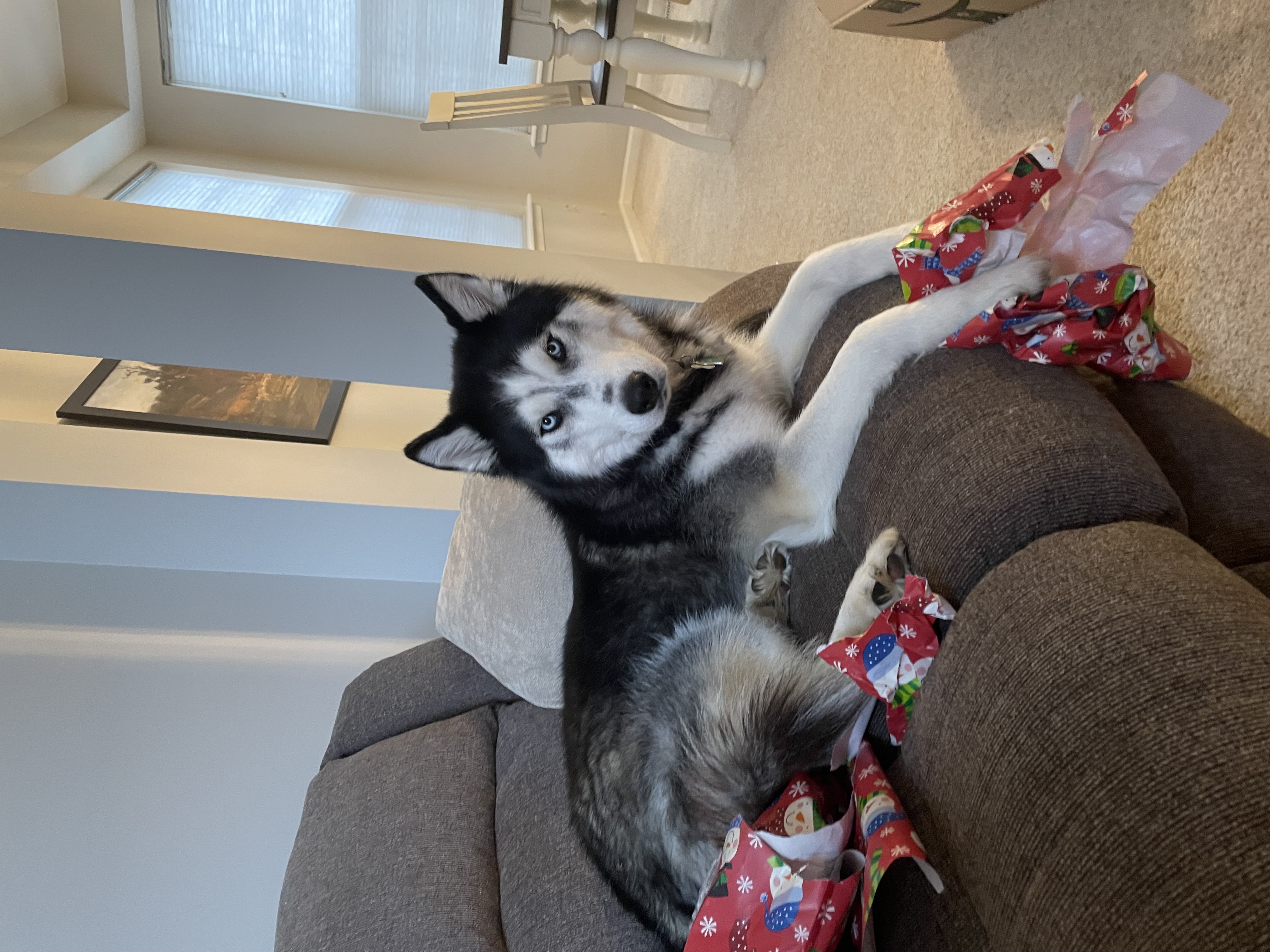 Megan - AI Chatbot | NsfwGPT.AI