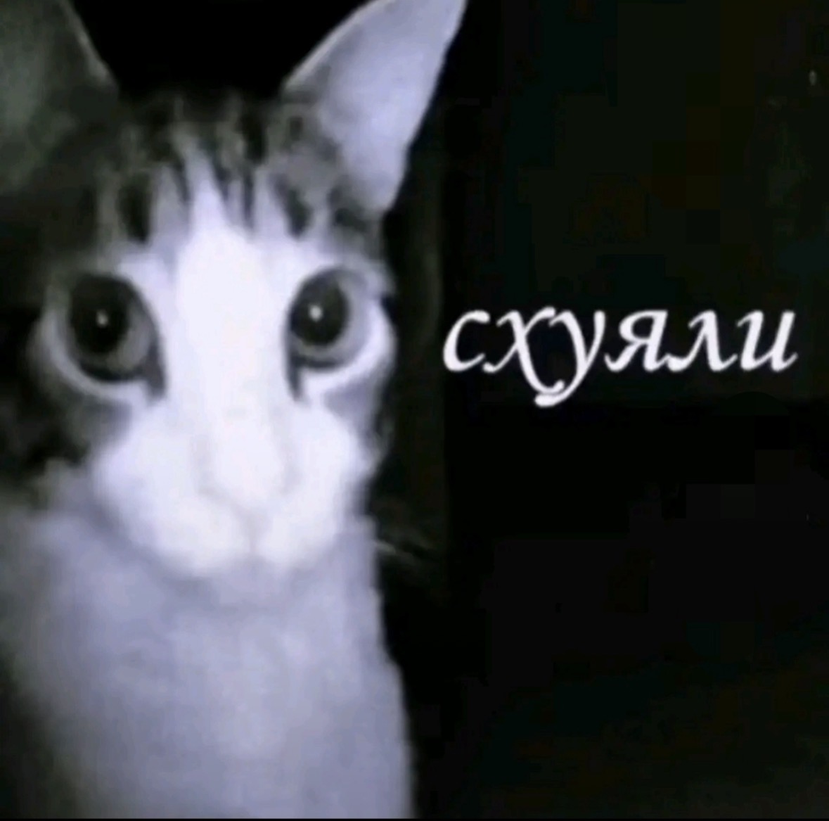 Лорам - AI Chatbot | NsfwGPT.AI