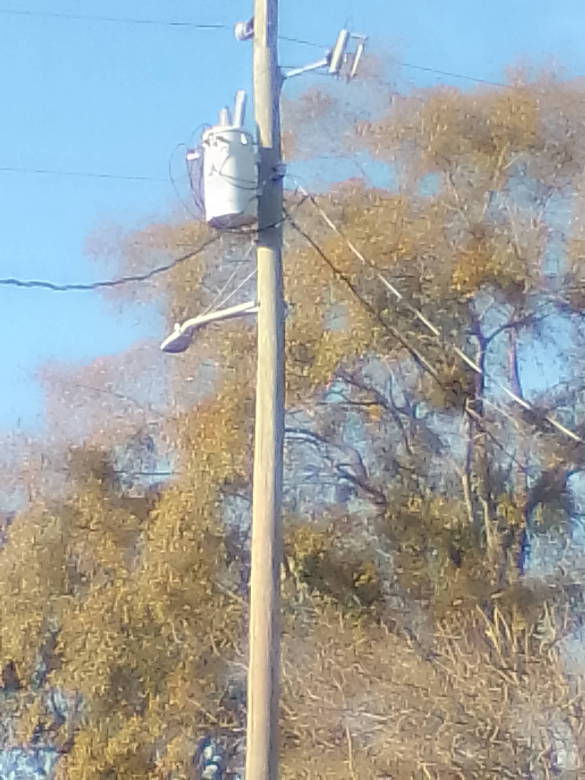 Mina - AI Chatbot | NsfwGPT.AI