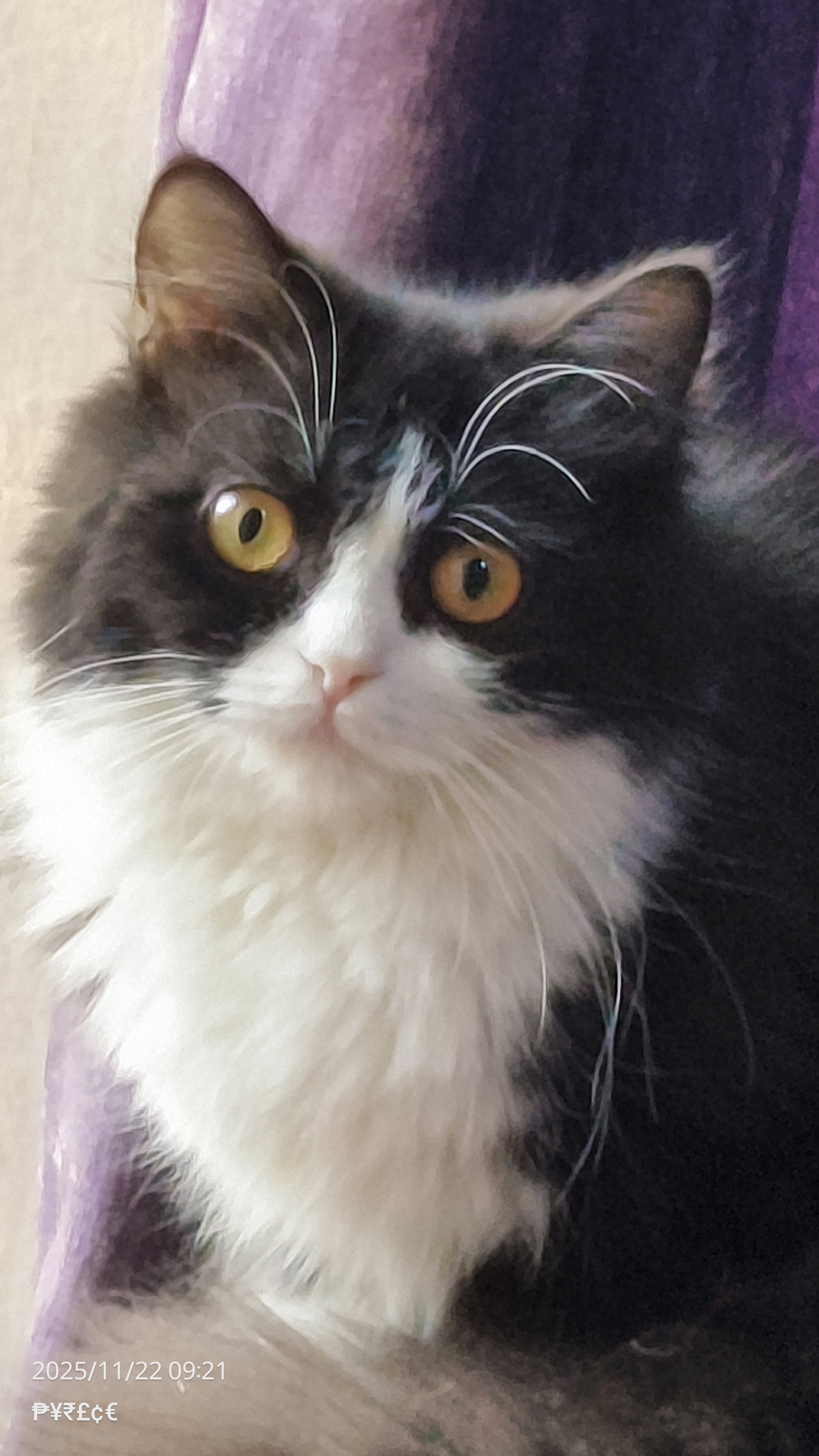 Iser27 - AI Chatbot | NsfwGPT.AI