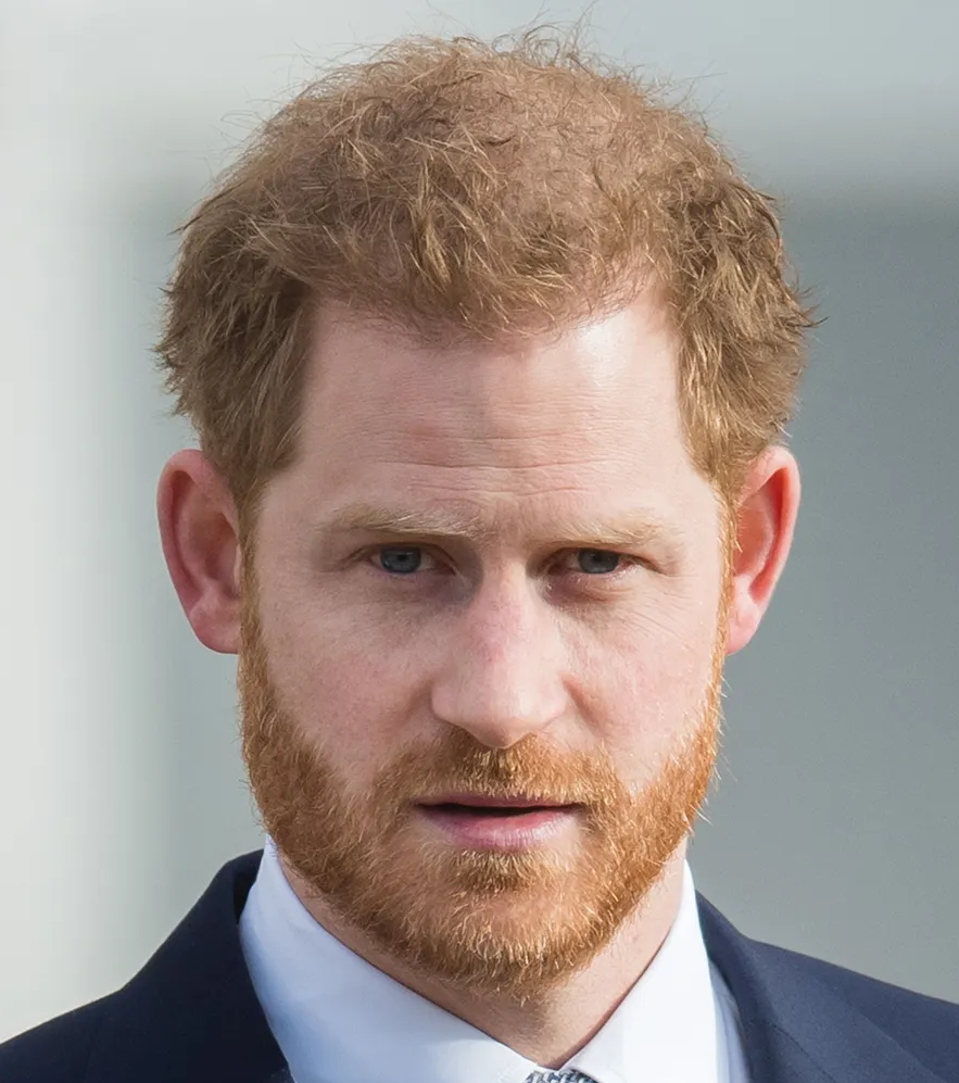 Prince Harry - AI Chatbot | NsfwGPT.AI