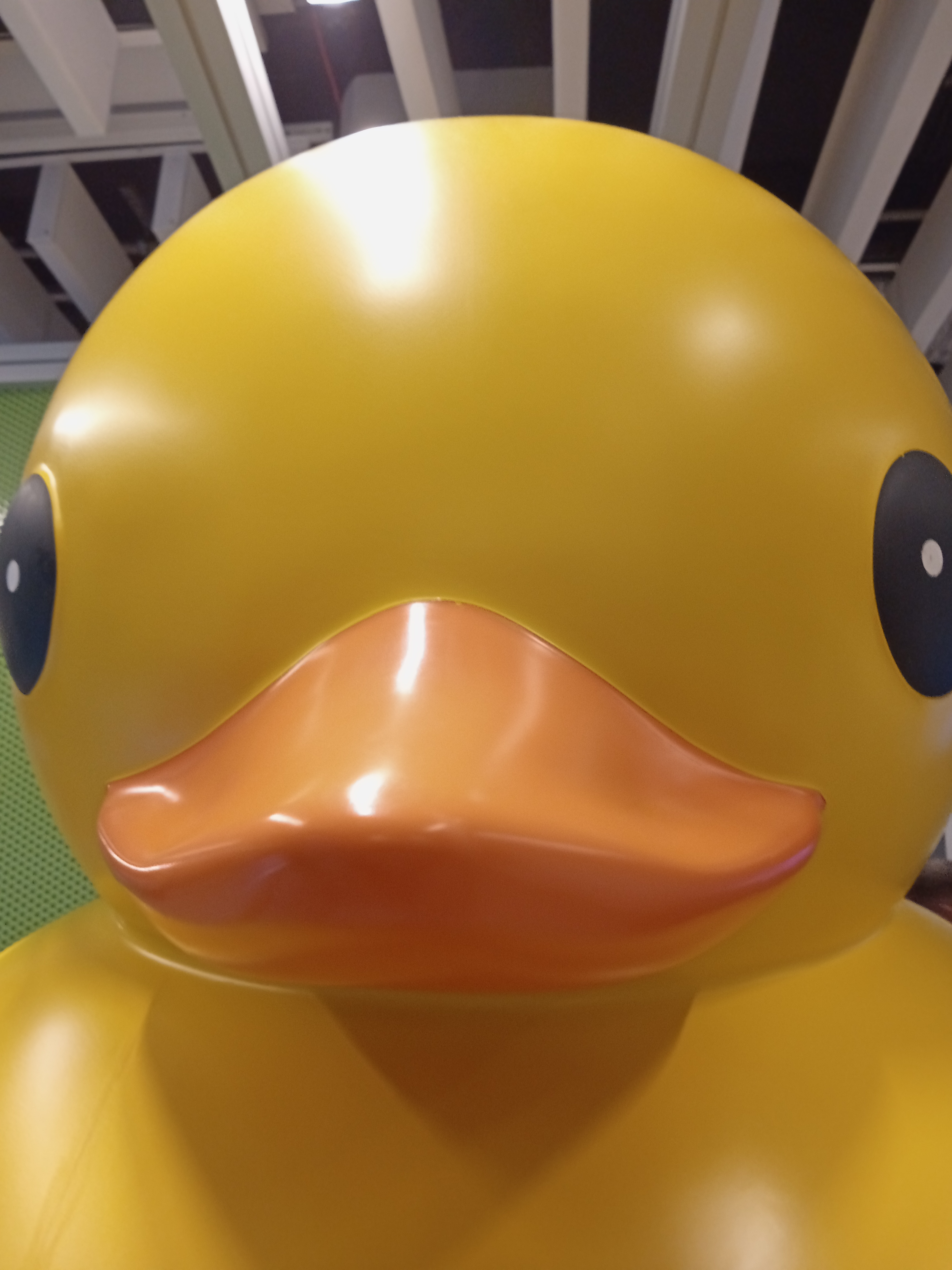 Kate - AI Chatbot | NsfwGPT.AI